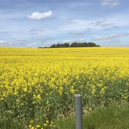 아파트 Grosse In Wanzka Mit Grill Und Garten Blankensee (Mecklenburg-Vorpommern)